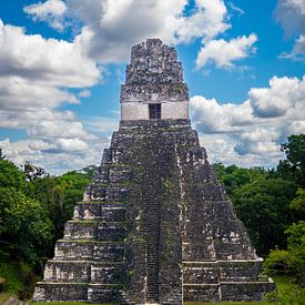 Tikal by Dennis Werkman