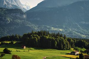 Rust in de Zwitserse Alpen sur elma maaskant