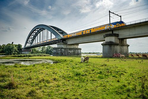 NS-Zug