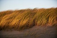 Dunes during sunset