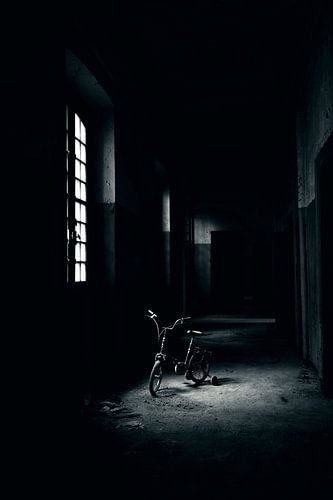 Bicycle 2