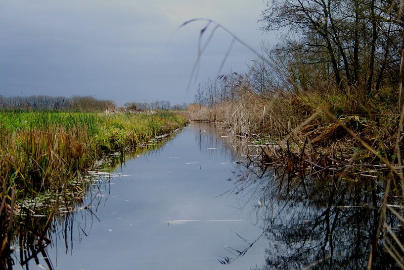 Sloot in de Weerribben von Fleksheks Fotografie