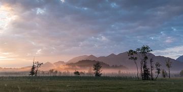 Magisch licht in de Murnauer Moos van Anselm Ziegler Photography