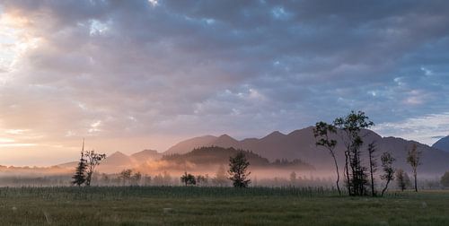 Magical light in the Murnauer Moos