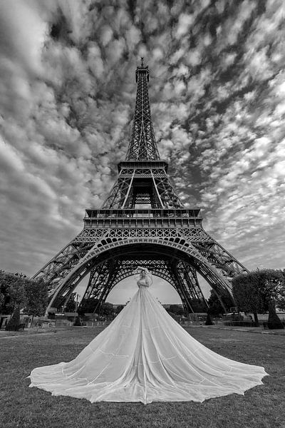 Fly with me to Paris (Parijs) van Wil Crooymans