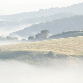 Toscaans landschap ontdoet zich van de ochtendnevelen van Lex van den Bosch