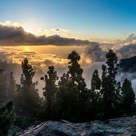 Tenerife sunset sur Douwe van der Leij