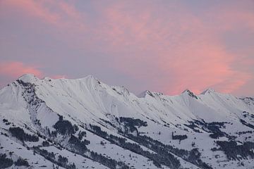 Zonsopgang in de Berner Alpen van Martin Steiner