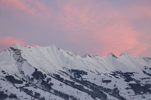 Sonnenaufgang in den Berner Alpen