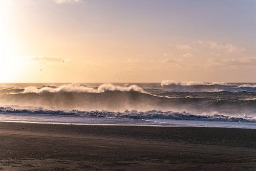 Black beach | IJsland | ocean | paars oranje