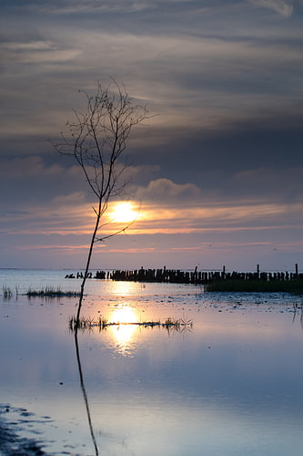 Zonsondergang Deense waddeneilanden van Menno Schaefer