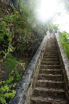Stairway to heaven (1000 Steps Bonaire) van Vivièn Nieuwenweg