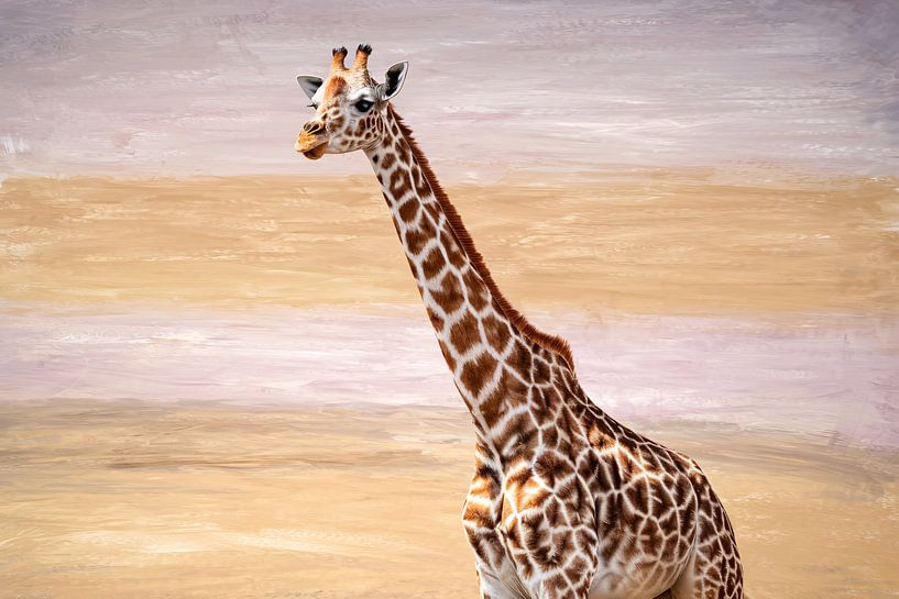 Giraffe in warm savannah by Imperial Art House