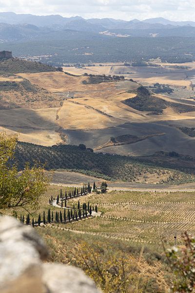 Landschapsopname in Andalusische zomer. Kaal landschap onder een blauwe hemel, Andalusië, Spanje. van Fotos by Jan Wehnert