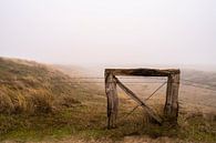 Dunes in fog by Stephan Zaun thumbnail