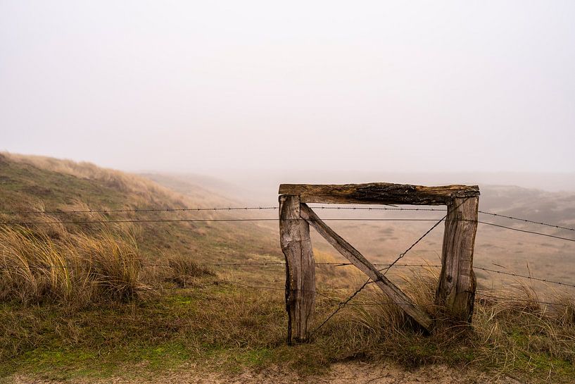 Dunes in fog by Stephan Zaun