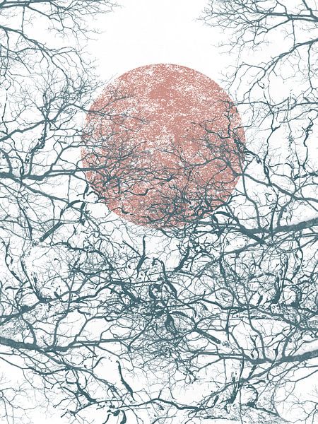 full moon between leafless tree branches by Margriet Hulsker