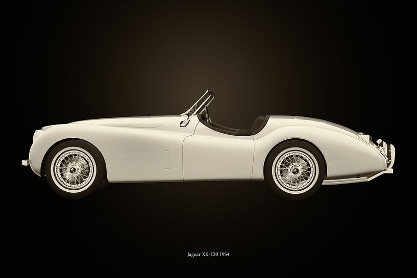 Jaguar XK-120 van Jan Keteleer