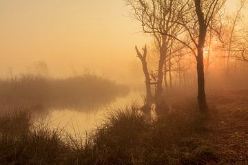 Foggy morning in orange by Karla Leeftink