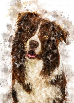 Border collie van Theodor Decker