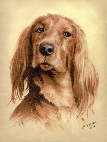 Hunting Dog Portrait by Marita Zacharias