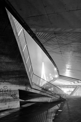 Vue artistique du pont Erasmus