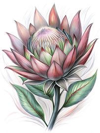 Floraison majestueuse