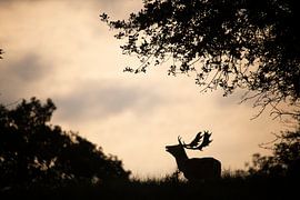 Damhert Burlt während der Bronzezeit von Maurice van de Waarsenburg