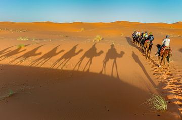 Camel ride Erg Chebbi desert in southern Morocco with strange shadow