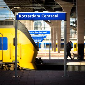 Rotterdam Centaal by Sjoerd de Hoop