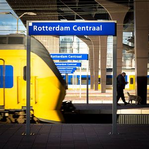 Rotterdam Centaal von Sjoerd de Hoop