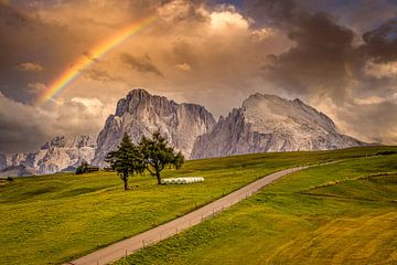 Alpe di Siusi onder de regenboog