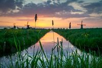 Sunrise at Hoogmade