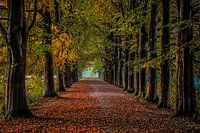 Herfst
