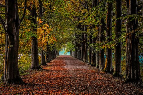 Herfst van Annemie Lauvenberg