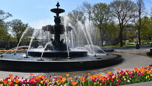 De fontein van Tourny in de lente