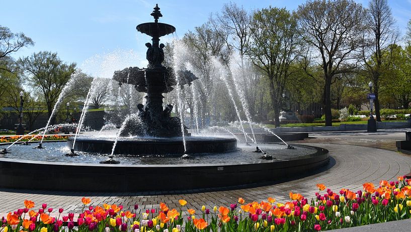 Le fontaine de Tourny au printemps par Claude Laprise