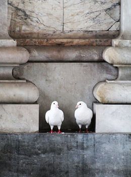 Gemeinsam unter dem Marmor