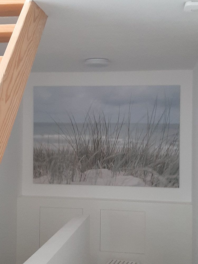 Nederlandse duinen