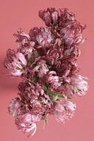 Bouquet of tulips
