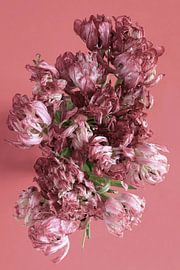 Tulpenstrauss von Anette Jäger