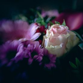 Flowers in a different light by Nicole Geerinck