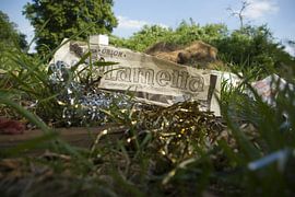 Décorations de Noël