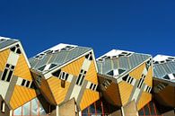 Kubuswoningen Rotterdam van Alice Berkien-van Mil thumbnail