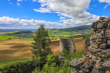 Uitzicht vanaf de Mägdeberg in de Hegaulandschaft - Baden Württemberg van BlattArt - Christine Horn