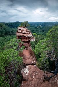 Pfälzer Wald