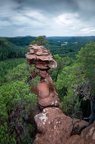 Pfälzer Wald von Voss Fine Art Fotografie