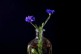 Still Life by Thomas Jäger