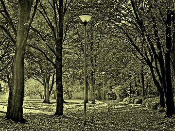 Herfstpark Landschap Grafisch