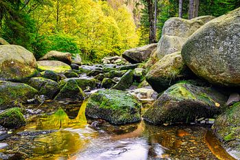 Herfstlandschap met de rivier de Oker en Engagement eiland in de
